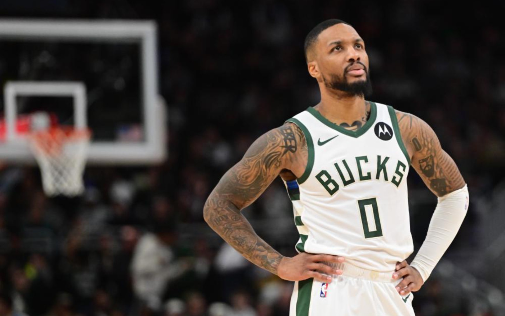 他的出现不 他的出现不