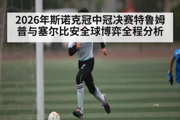 2026年斯诺克冠中冠决赛特鲁姆普与塞尔比安全球博弈全程分析 - dafa888